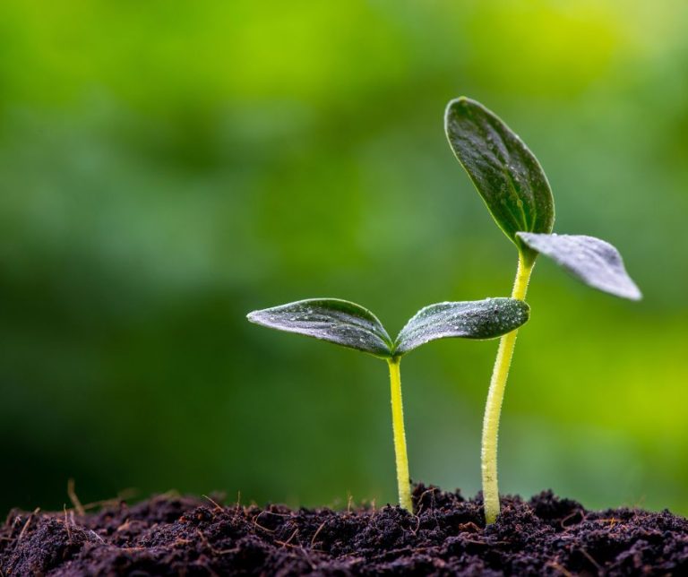 Depression as Hunger for Spiritual Awakening