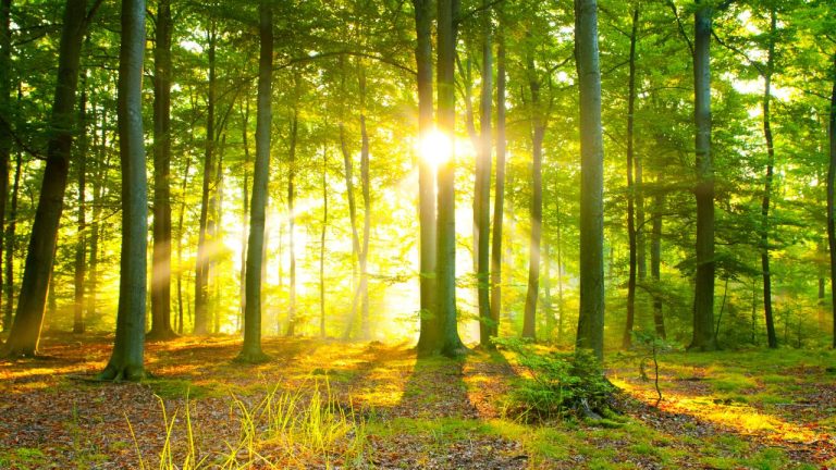 20 Brutally Honest Truths About Psychiatry – part 1